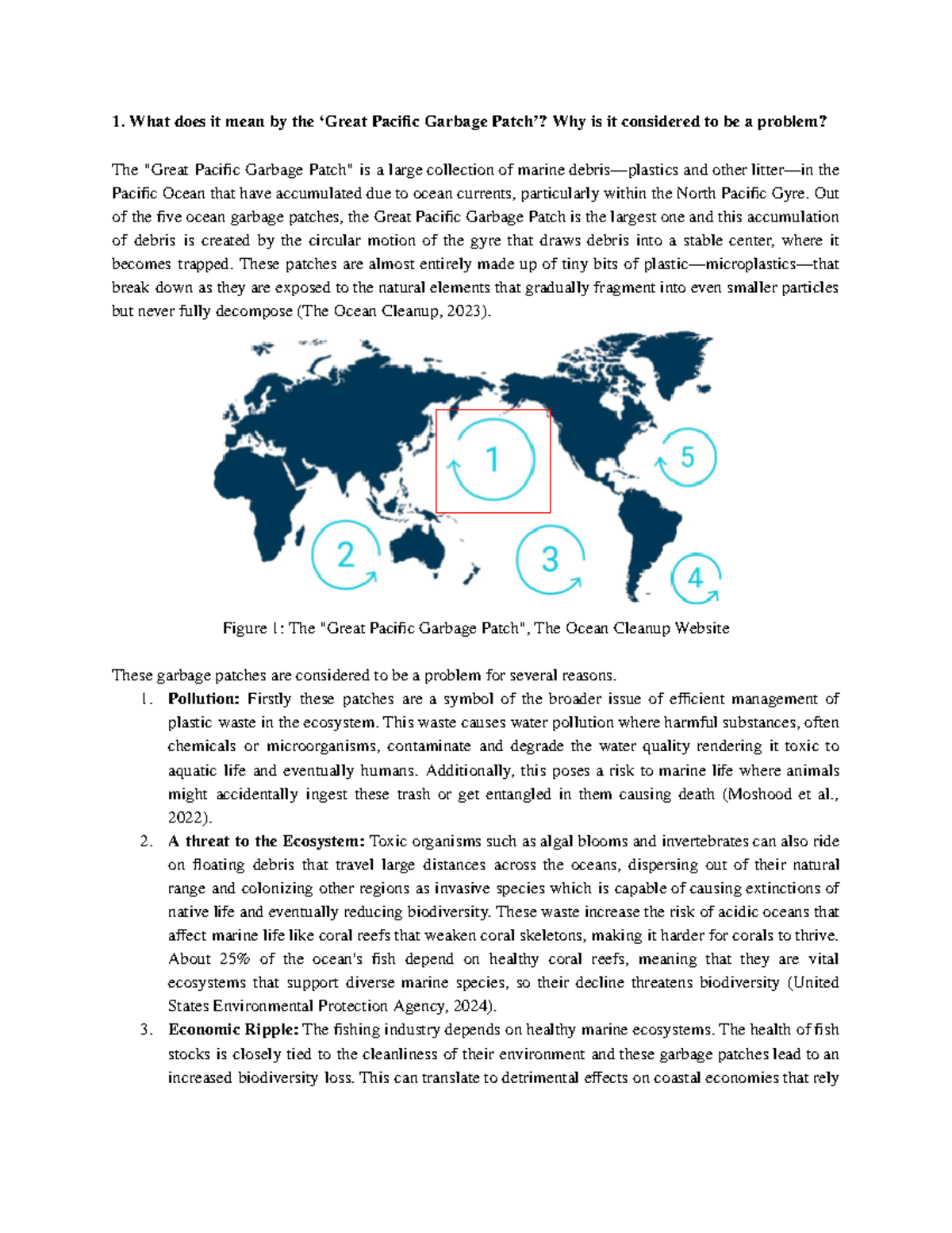 Case Study - What does it mean by the ‘Great Pacific Garbage Patch ...