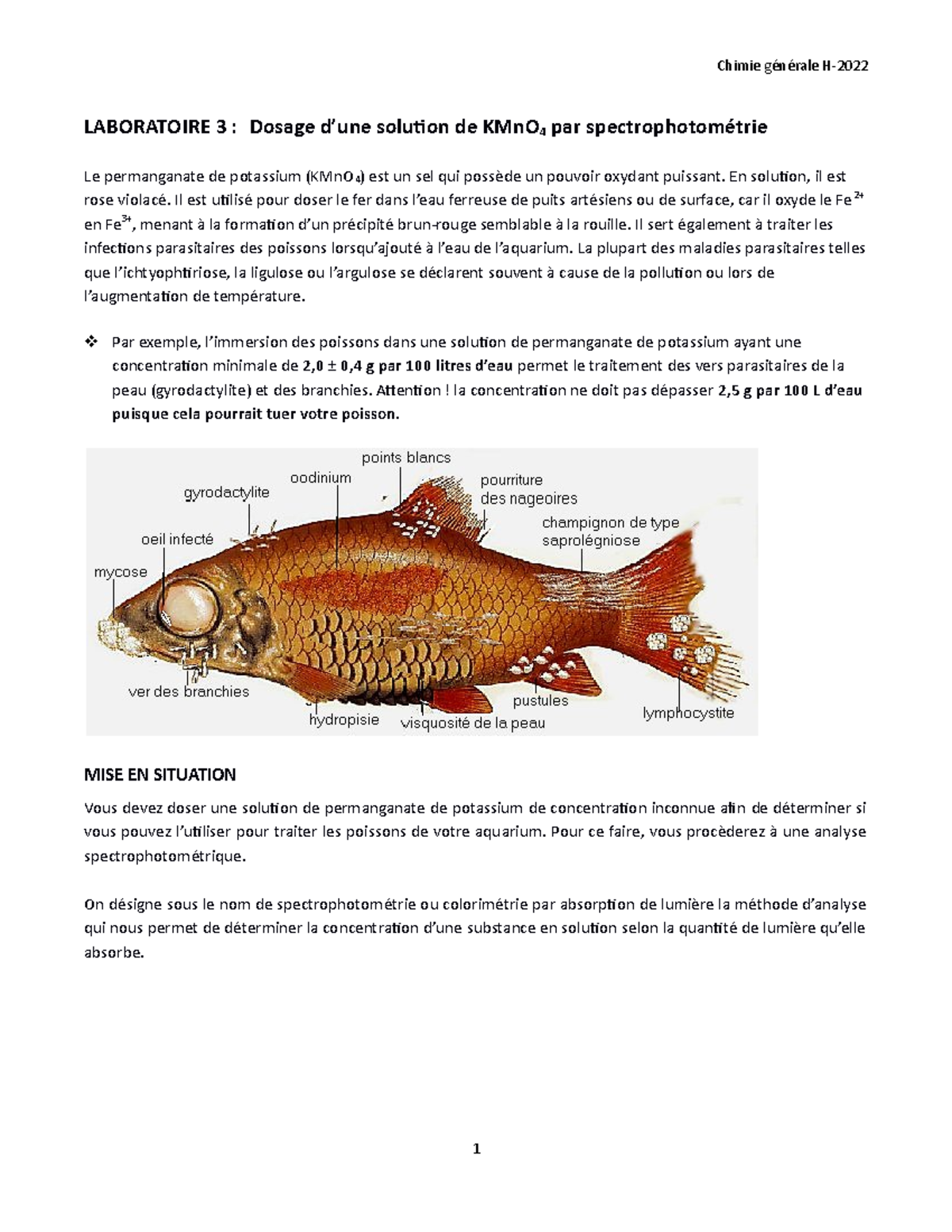 A Quoi Sert Le Permanganate De Potassium Labo3 KMn O4 H22 protocole final - LABORATOIRE 3 : Dosage d'une solution de  KMnO 4 par - Studocu