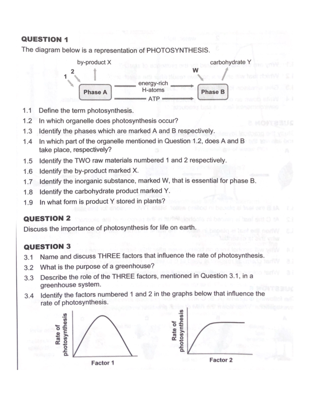 Photosynthesis question 1 the answer series - Studocu