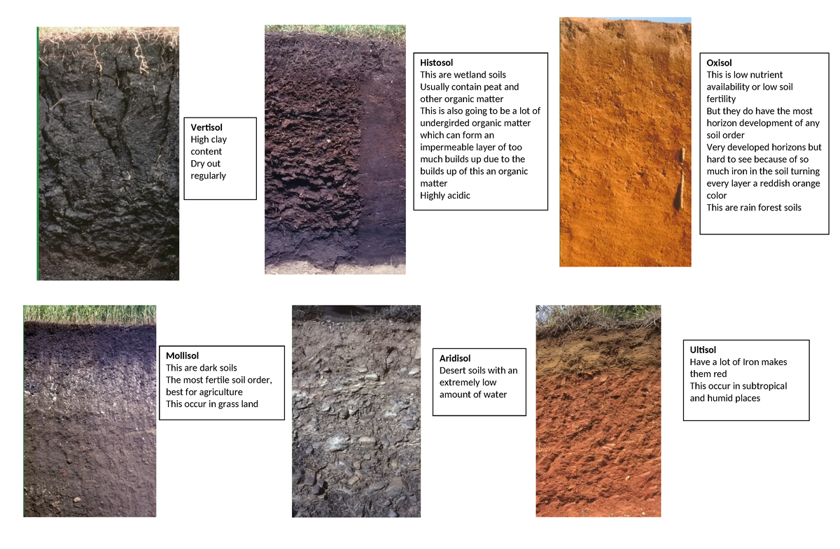 Soil Orders - Histosol This are wetland soils Usually contain peat and ...