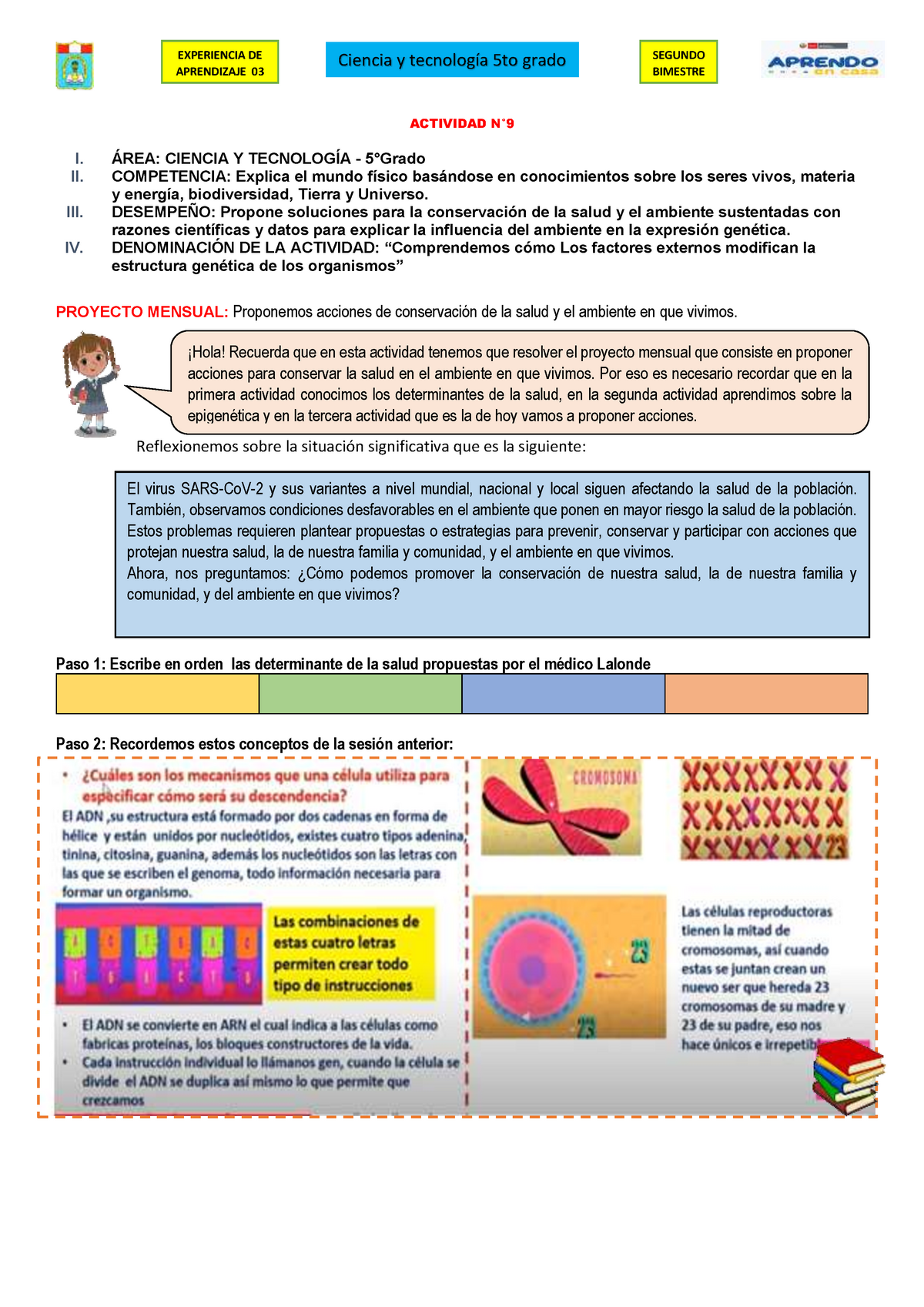 Actividad Nº 9 5º - Cta Genetica En Humanos Y Todo Ser Vivo ...