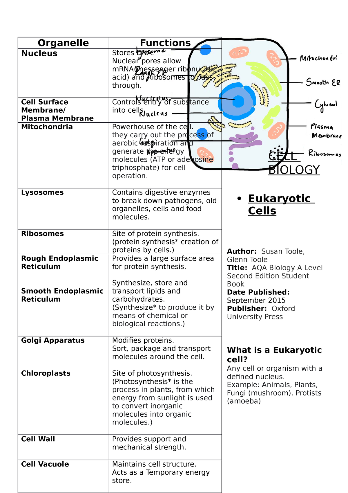 Eukaryotic Cells - Eukaryotic Cells Author: Susan Toole, Glenn Toole ...