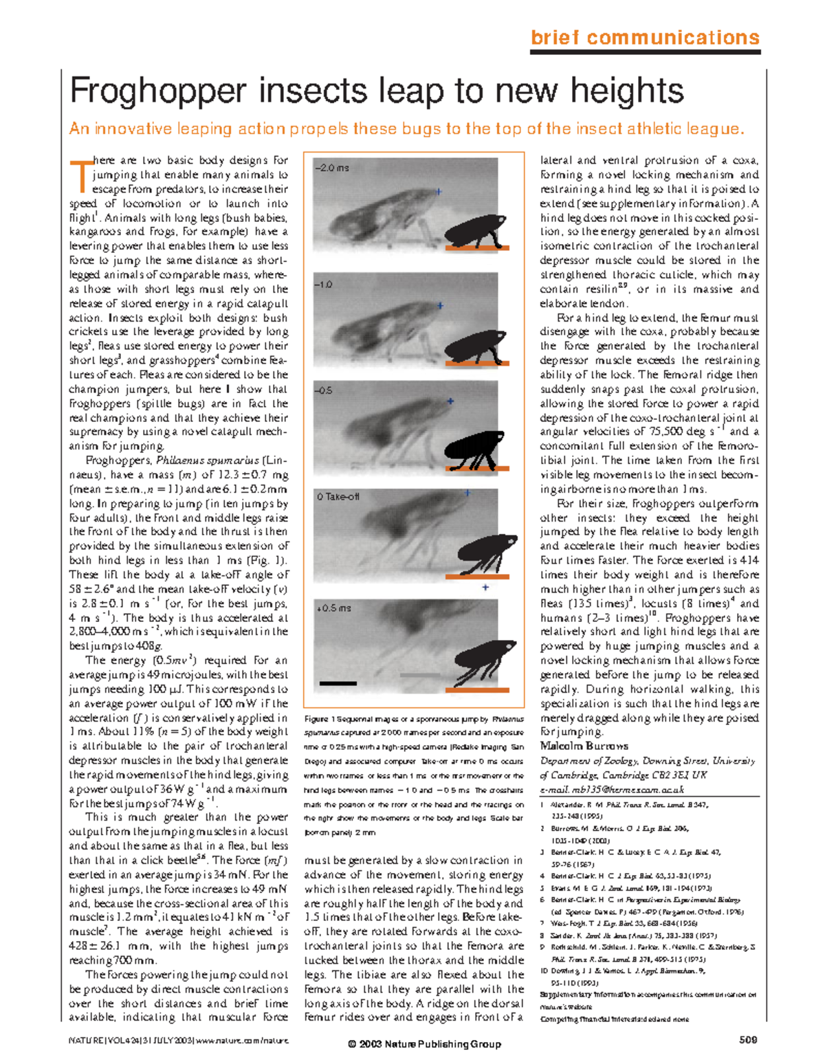 1 - Froghopper insects leap to new heights - brief communications ...
