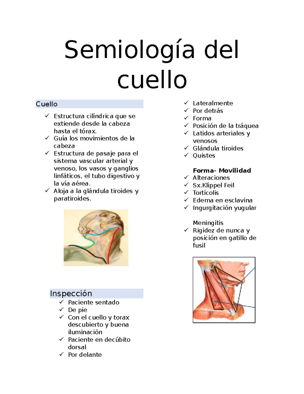 Semiologia medica del cuello semiologia - Semiología del cuello Cuello ...