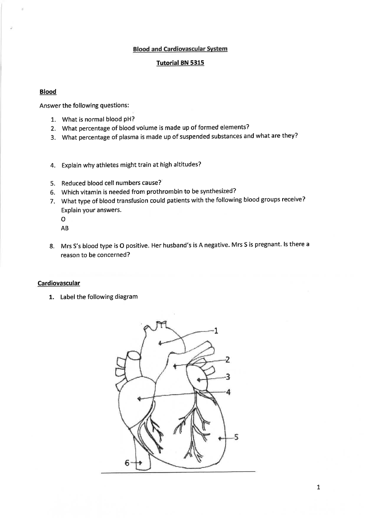 Blood cardiovascular Tutorial sheet - Science for Nursing - Studocu