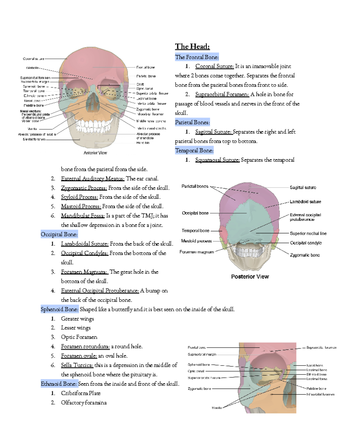 Label The Structures Of The Bone Using The Hints Provided - xq1r1nh