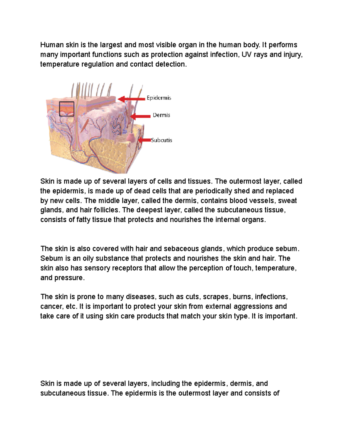 Human skin talks about the layers and the mian stuff about the skin