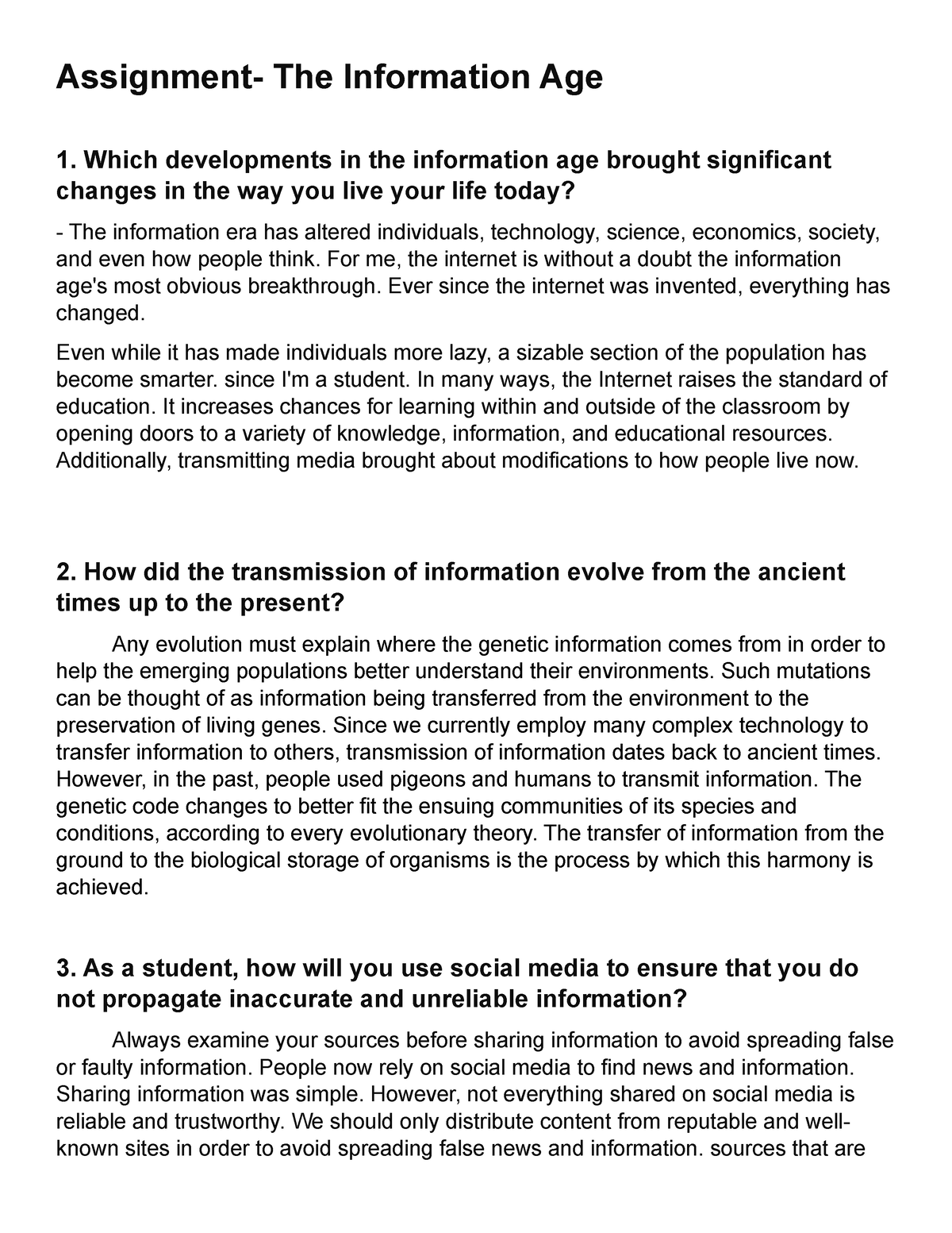 life in the information age essay