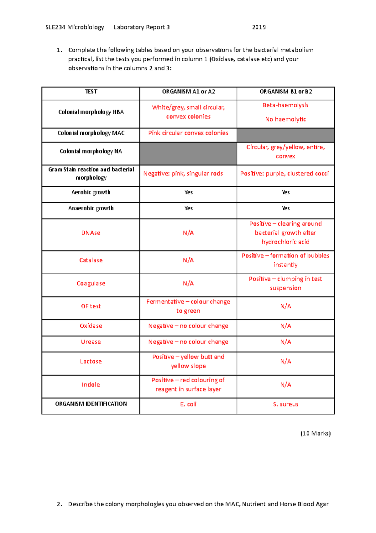 SLE234+Lab+Report+3 2019 - SLE234 Microbiology Laboratory Report 3 2019 ...