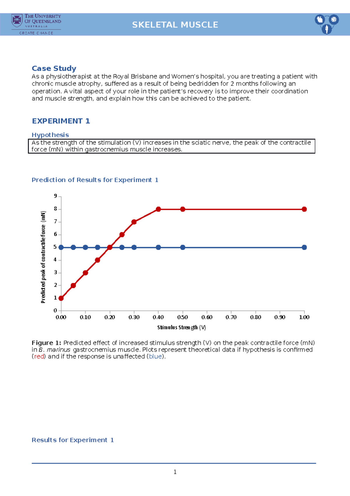 Sk M Report Template - Skeletal muscle prac - Case Study As a ...
