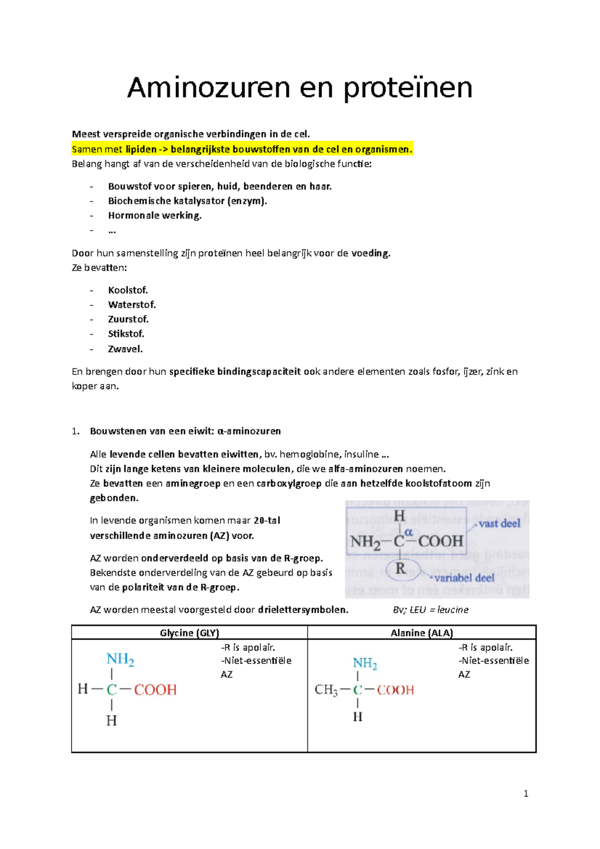 Samenvatting - Aminozuren En Proteïnen (basis) - 6e Middelbaar ...