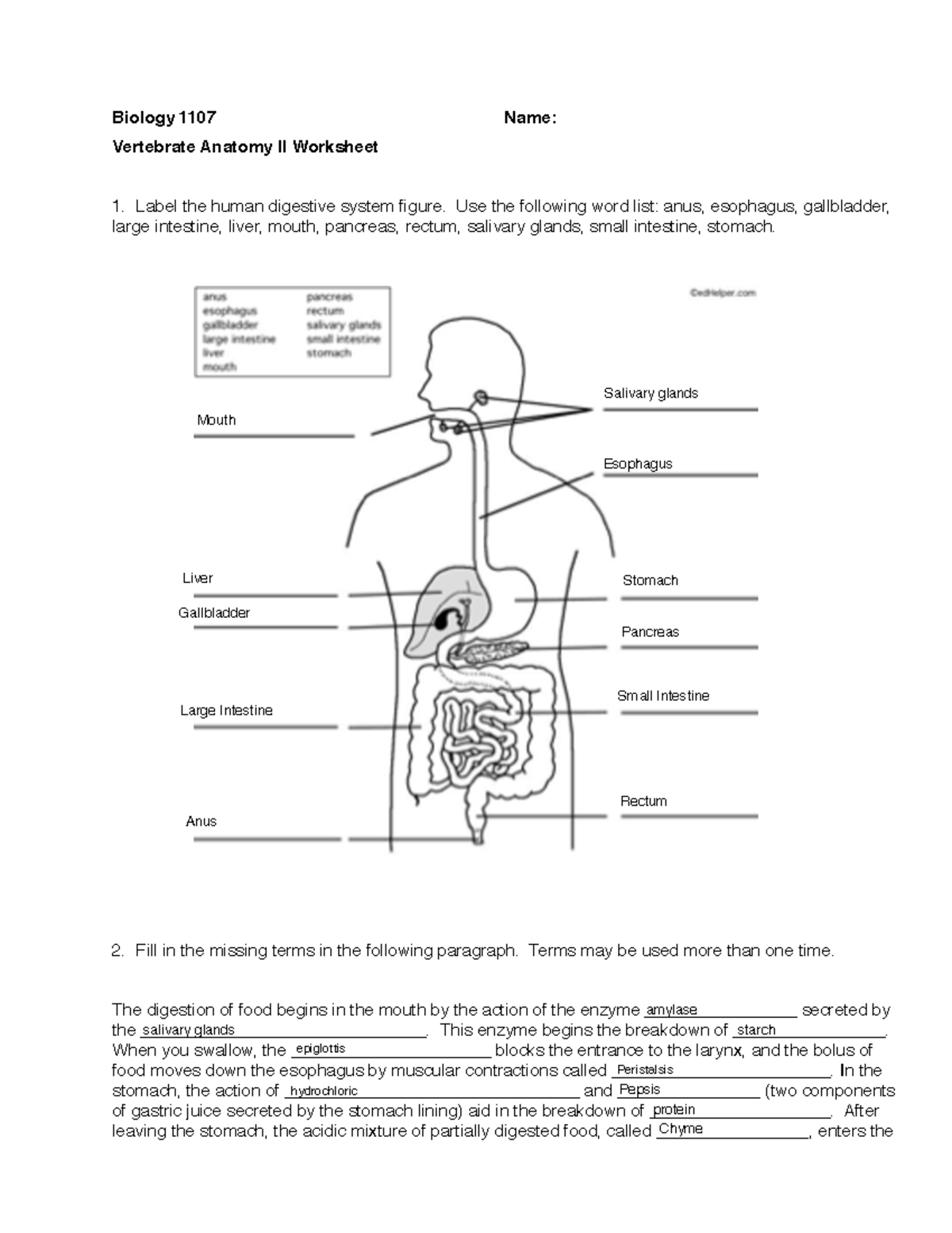 Vertebrate Anatomy II Lab. - Biology 1107 Name: Vertebrate Anatomy II ...