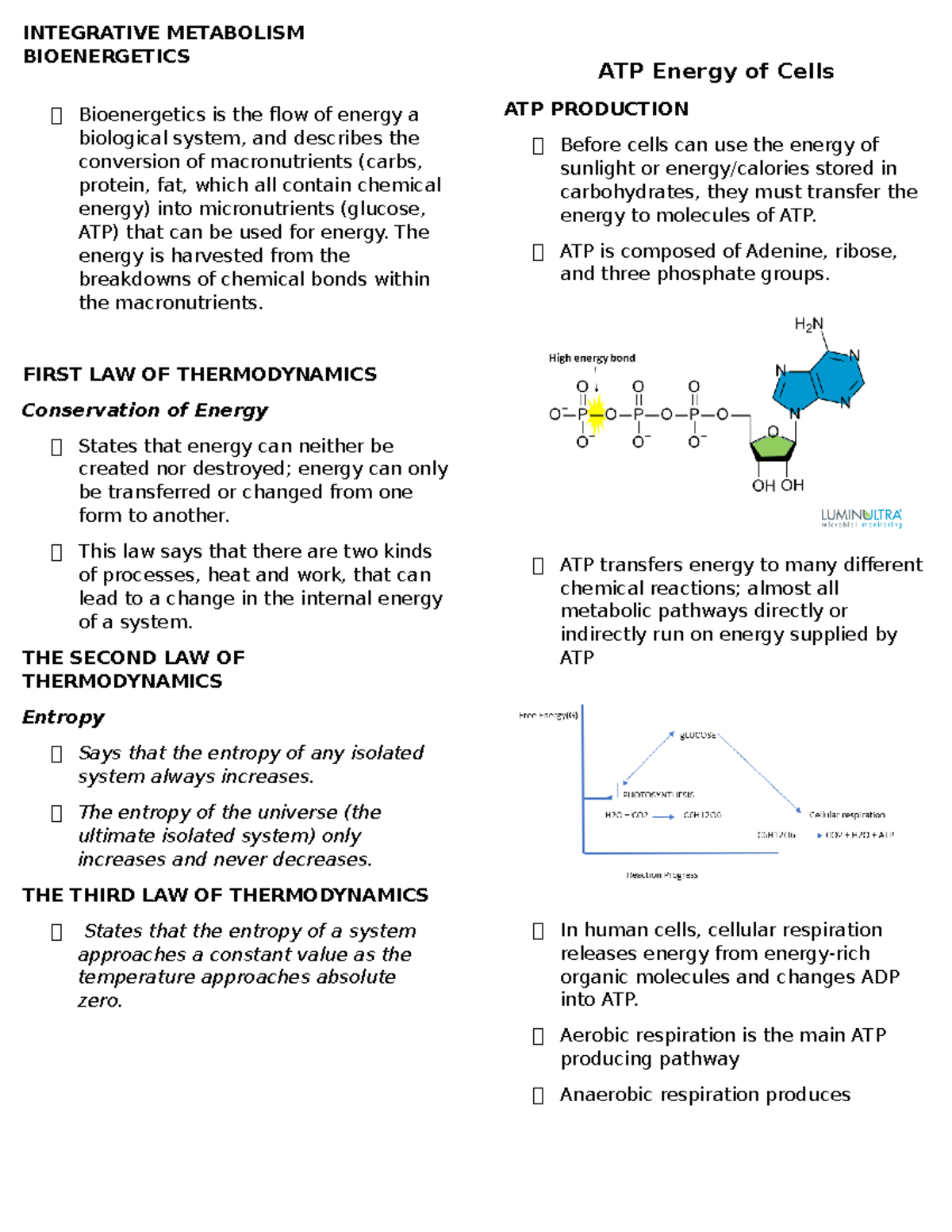 Integrative Metabolism Bioenergetics - INTEGRATIVE METABOLISM ...