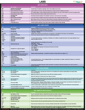 Med Surg Chapter 01 Case Study - Case Study, Chapter 1, Professional ...