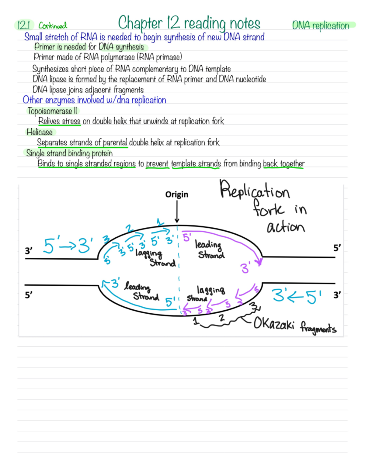 Bio 140 Ch12 Reading Notes - BIO 140 - Studocu