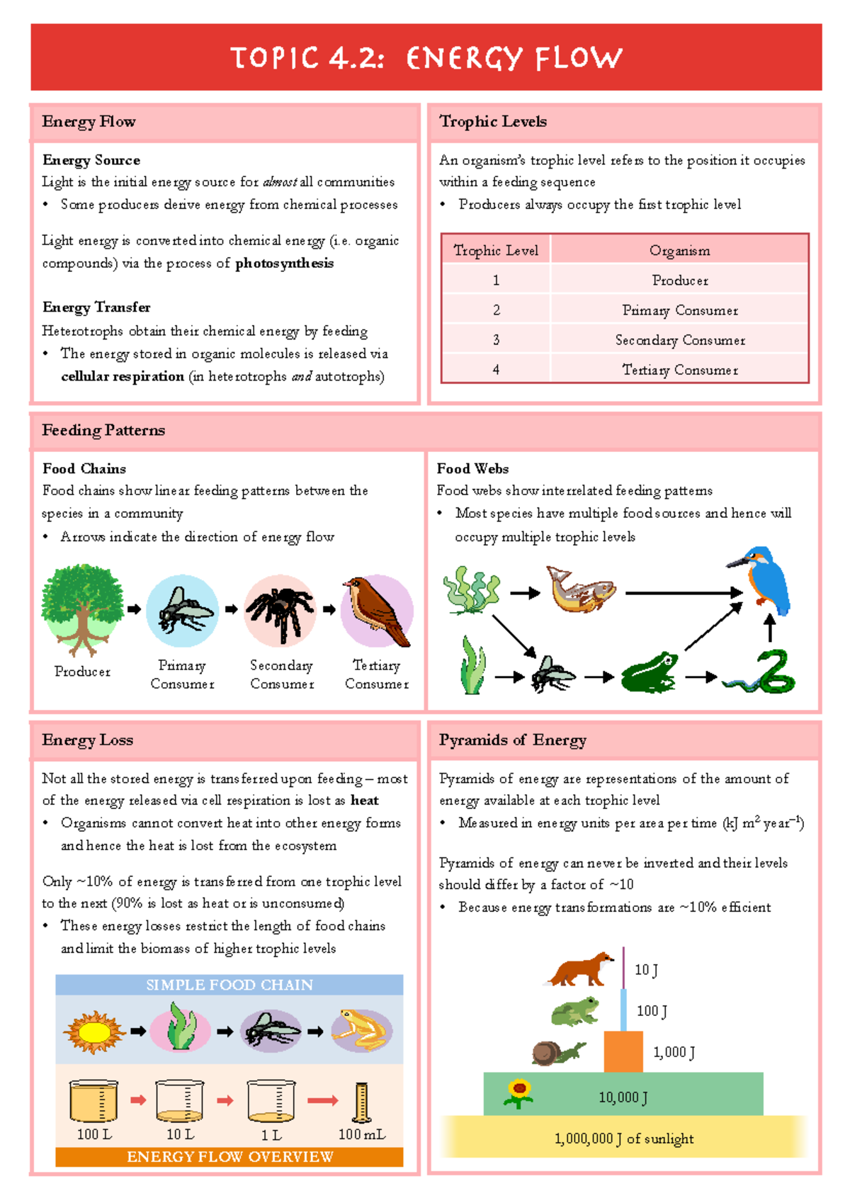 4.2 Energy Flow - Ecology notes - Trophic Levels An organism’s trophic ...