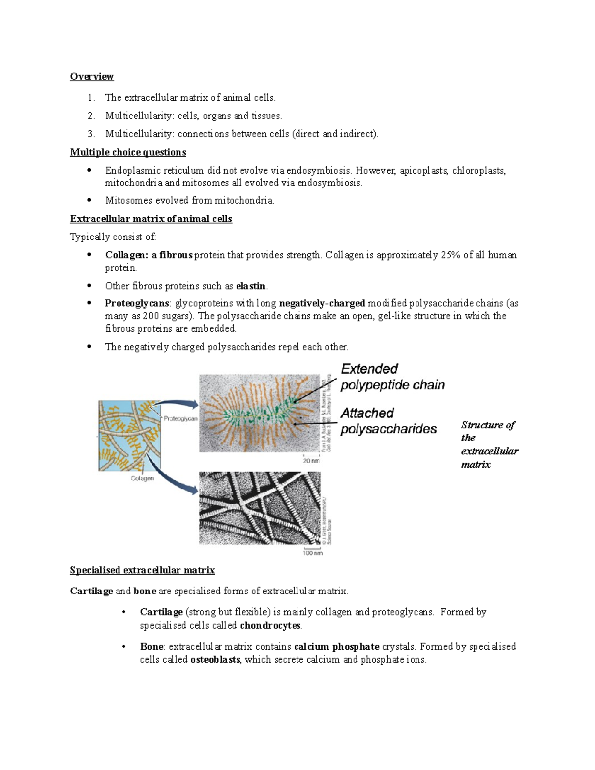 L12 - The extracellular matrix, multicellularity and cell connections ...