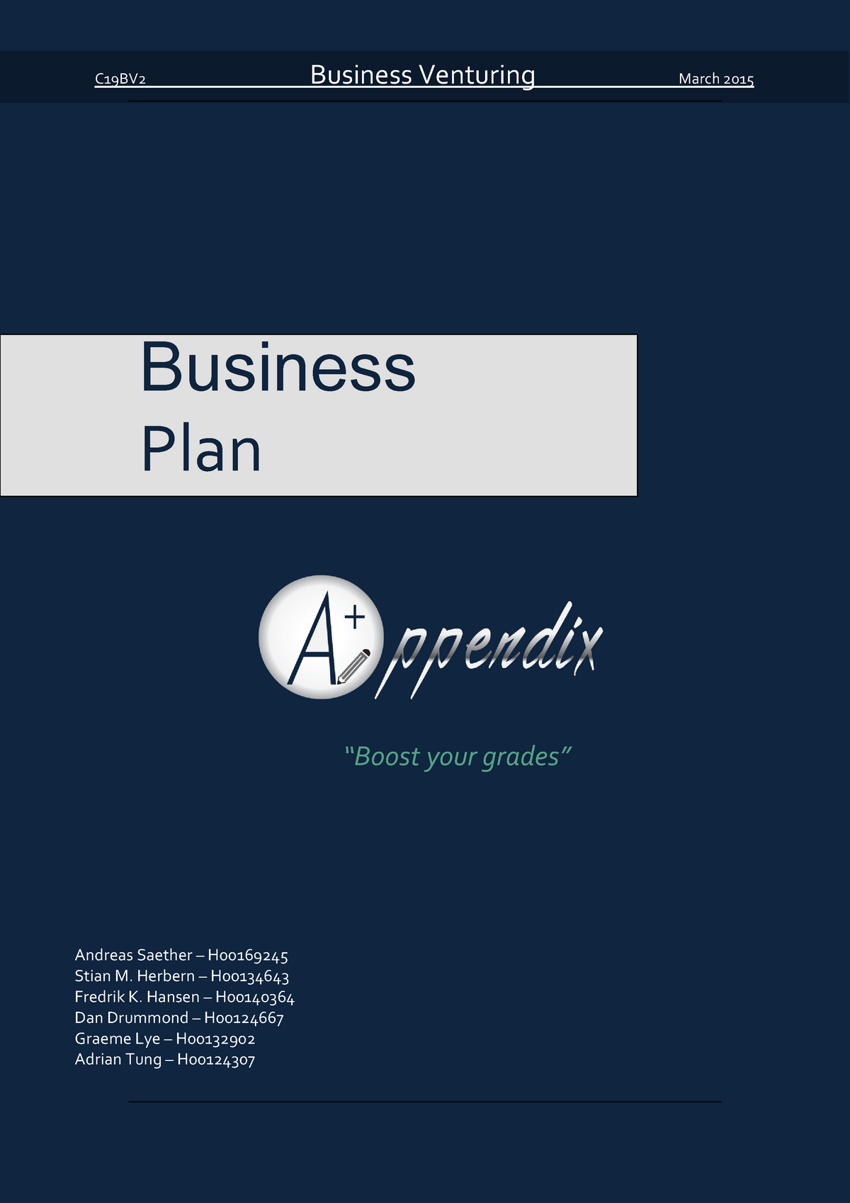 business plan 299