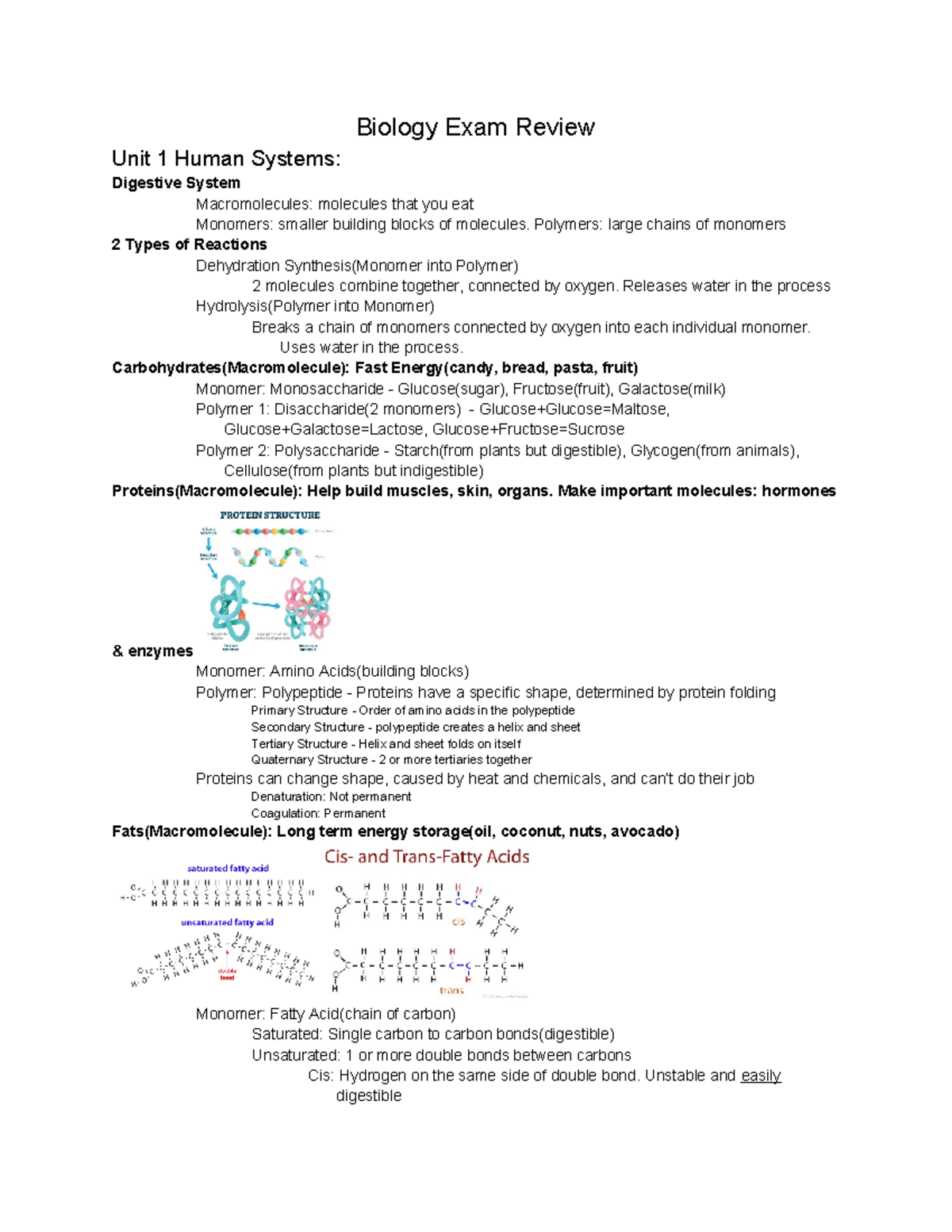 Bio Study Guide - Biology Exam Review Unit 1 Human Systems: Digestive ...