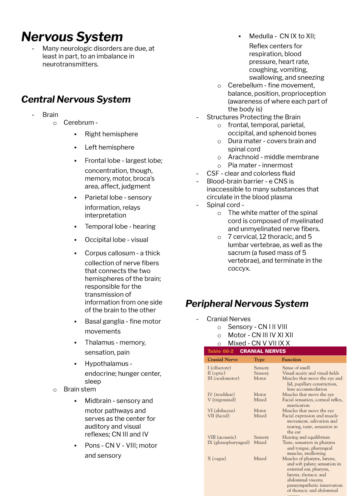 Nervous System - Nervous System Many Neurologic Disorders Are Due, At ...