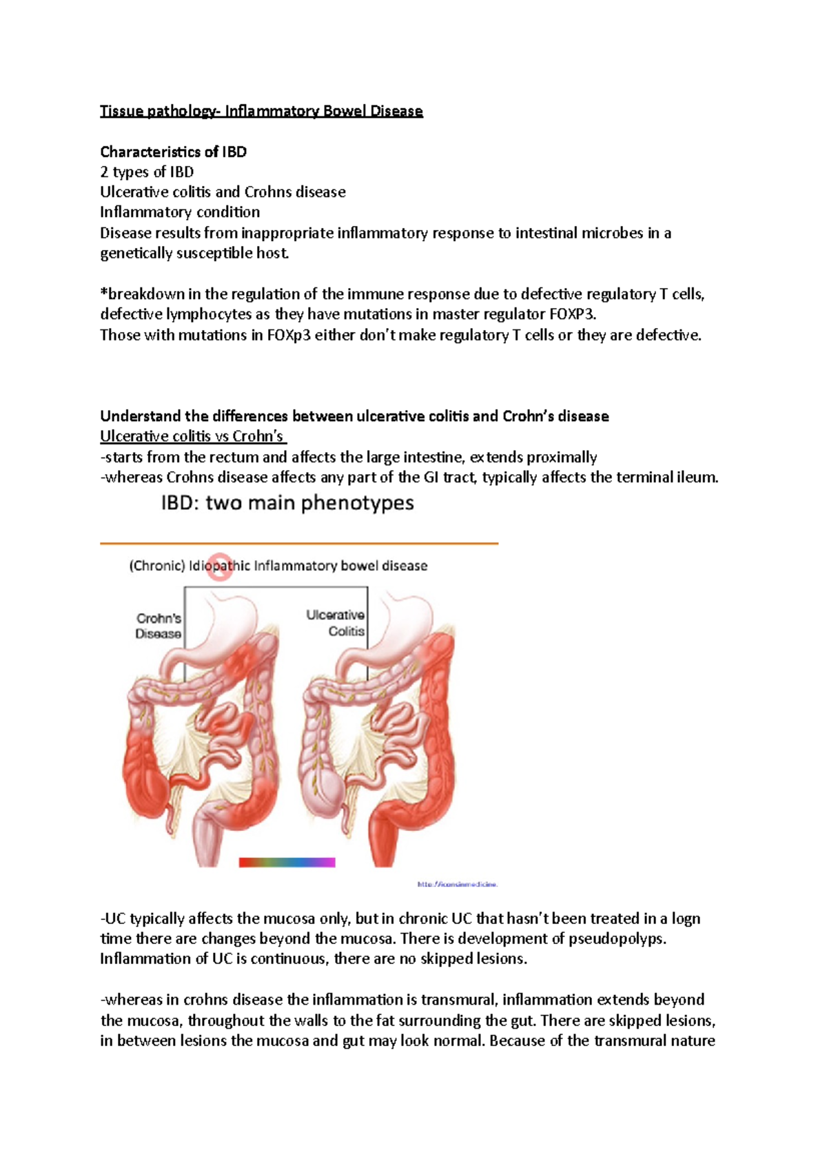 Tissue pathology Inflammatory bowel disease UC+ crohns Tissue
