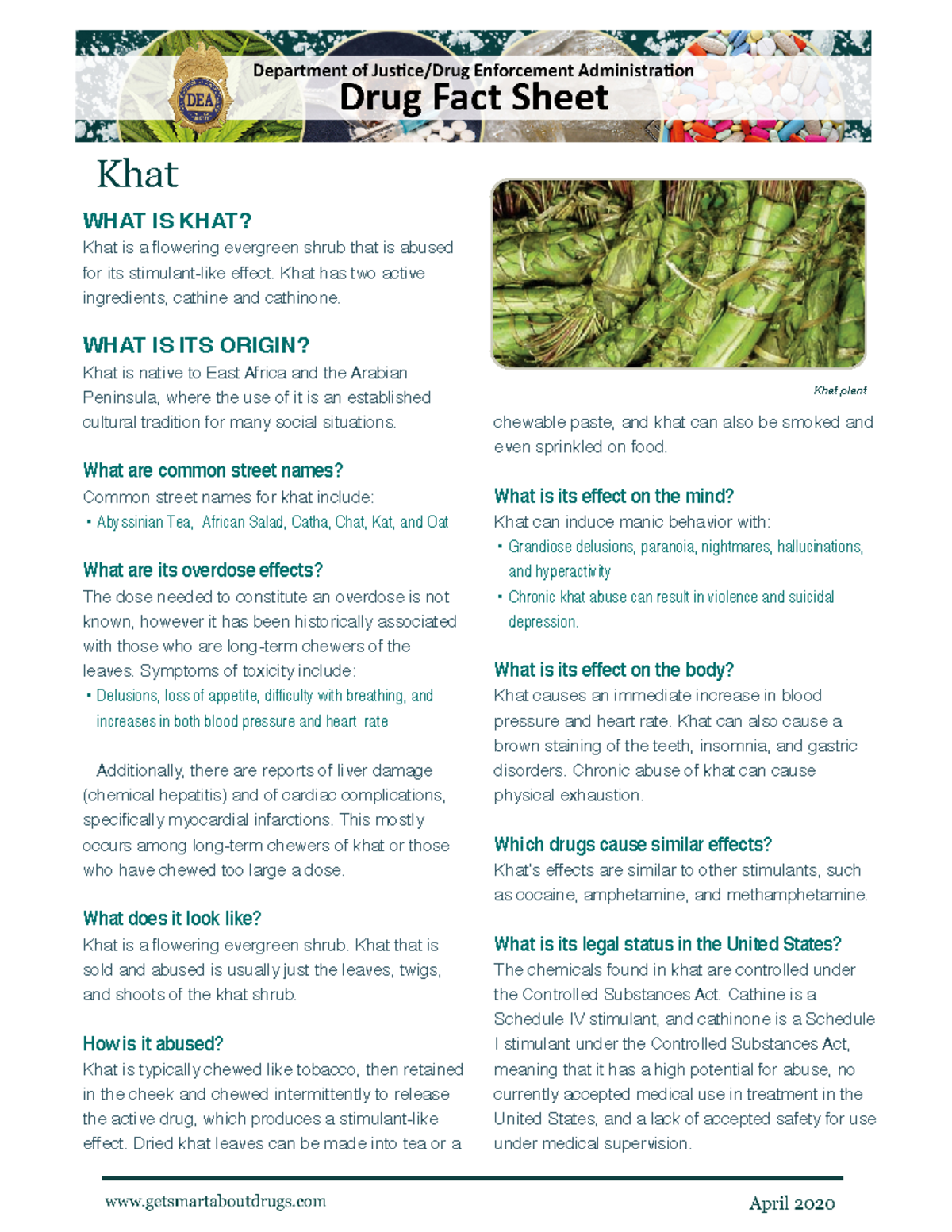 Khat2020 0 Hey yall Khat WHAT IS KHAT? Khat is a flowering