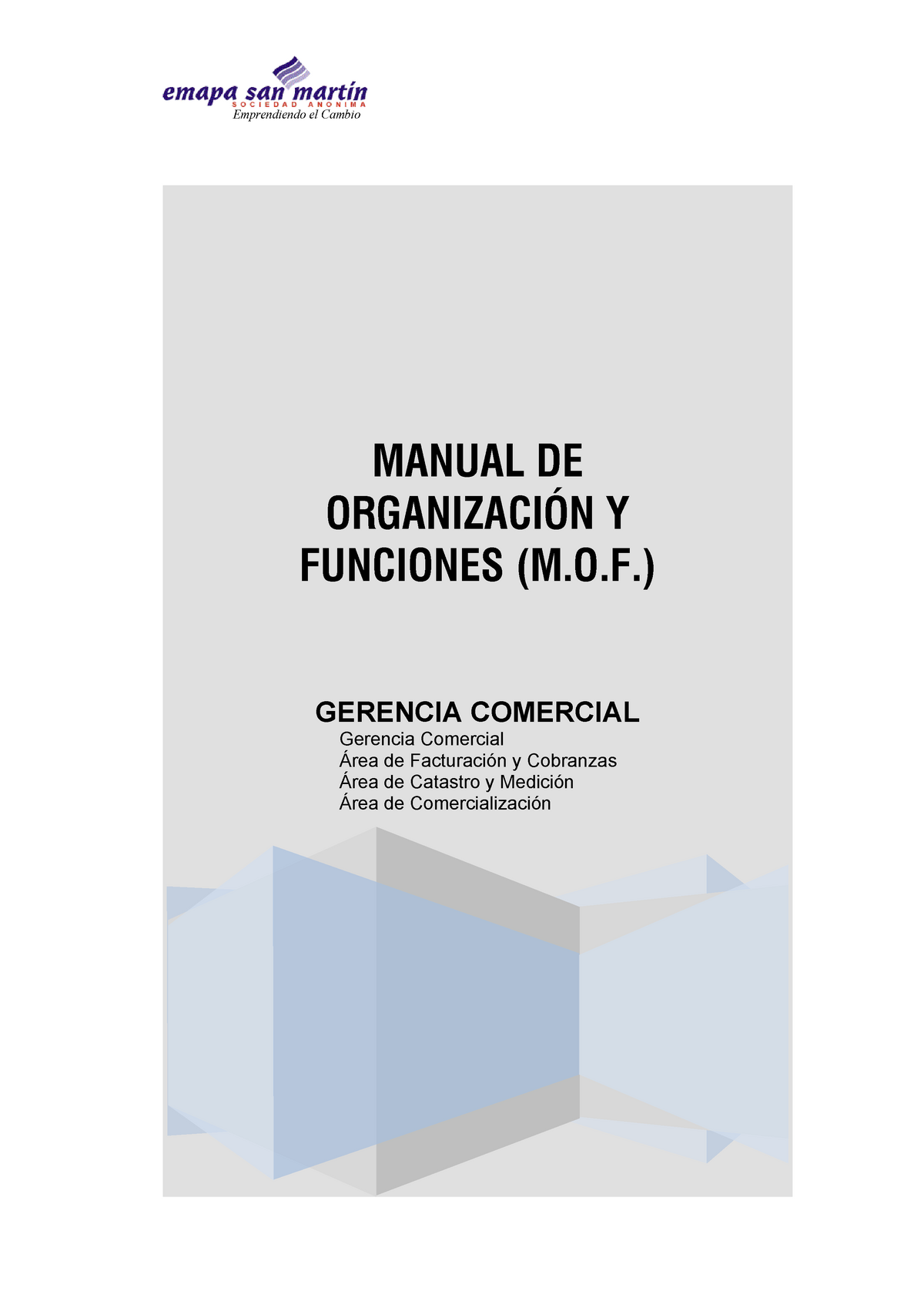 Manual DE Organización Y Funciones (M.O.F.) - MANUAL DE ORGANIZACIÓN Y ...