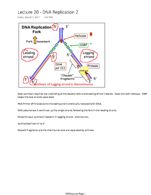 Genetics - IB Biology Notes On Detailed Aspects Of Genetic Biology ...