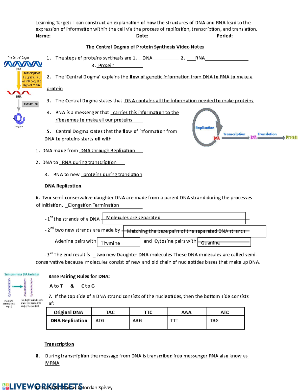 Central Dogma of Protein Synthesis Video Worksheet Learning Target I can construct an
