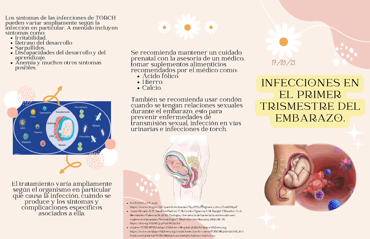 Infecciones Durante El Embarazo 170323 Infecciones En El Primer Trismestre Del Embarazo 4731
