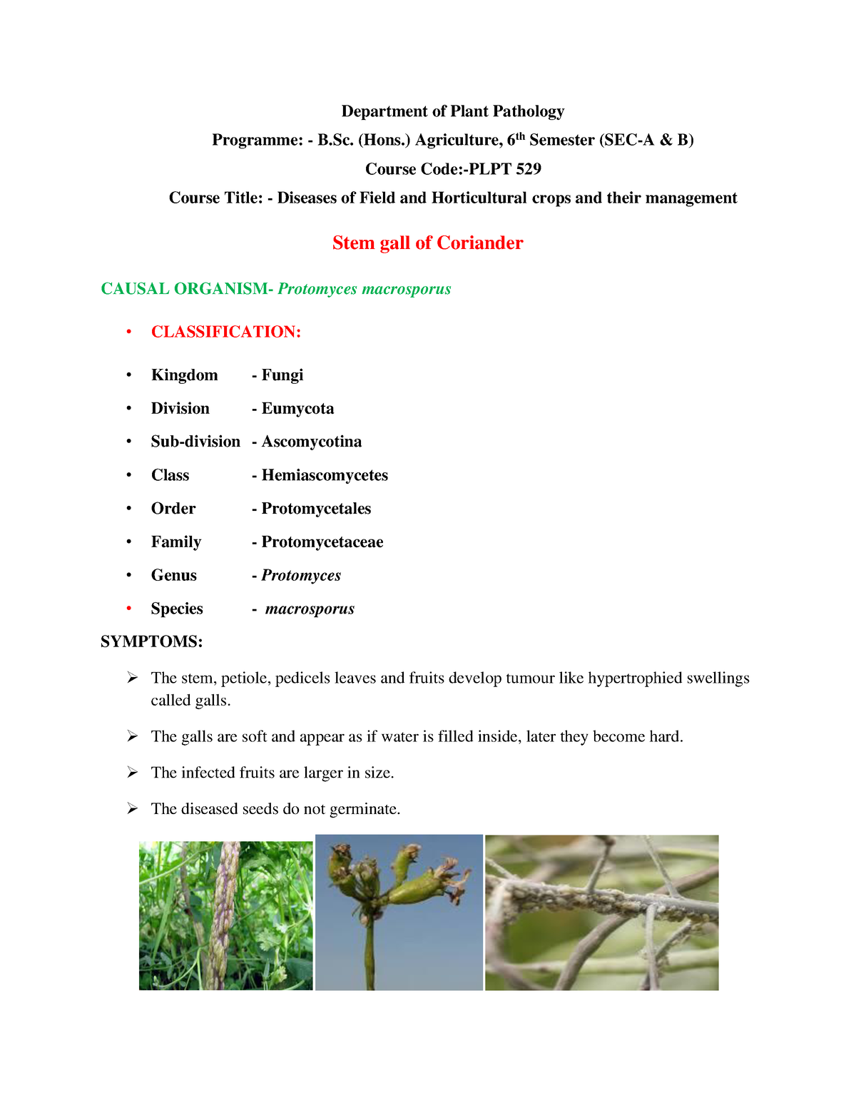 Major Diseases Of Coriander Plant Diseases Department of Plant Pathology Programme B