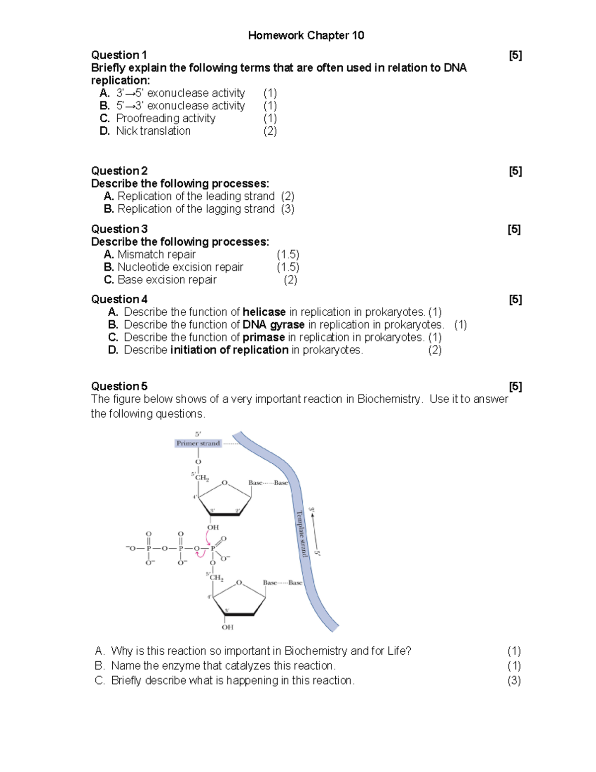 Homework Chapter 10(1) - Homework Chapter 10 Question 1 [5] Briefly ...