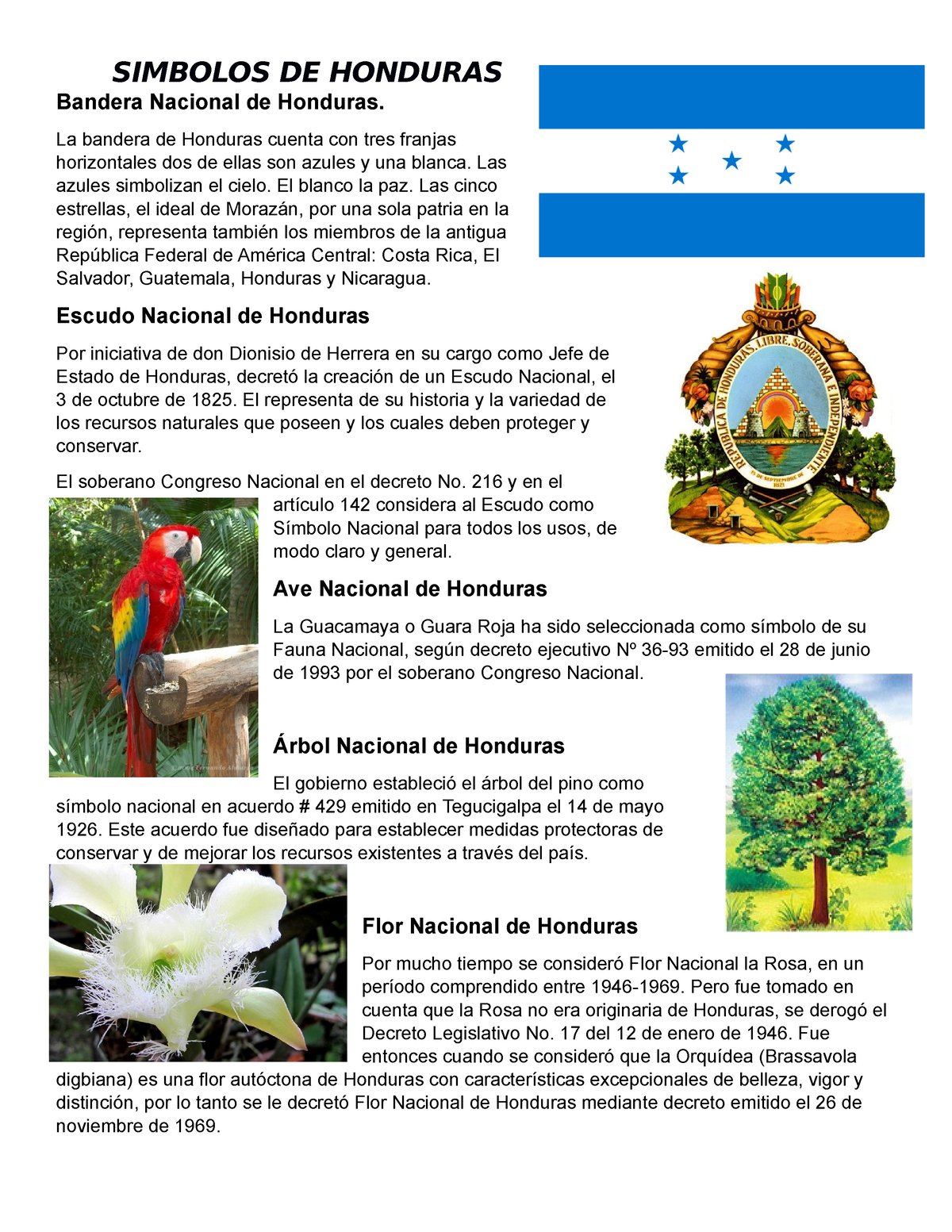 Simbolos Patrios Y Nacionales De Centroamerica Simbolos De Honduras