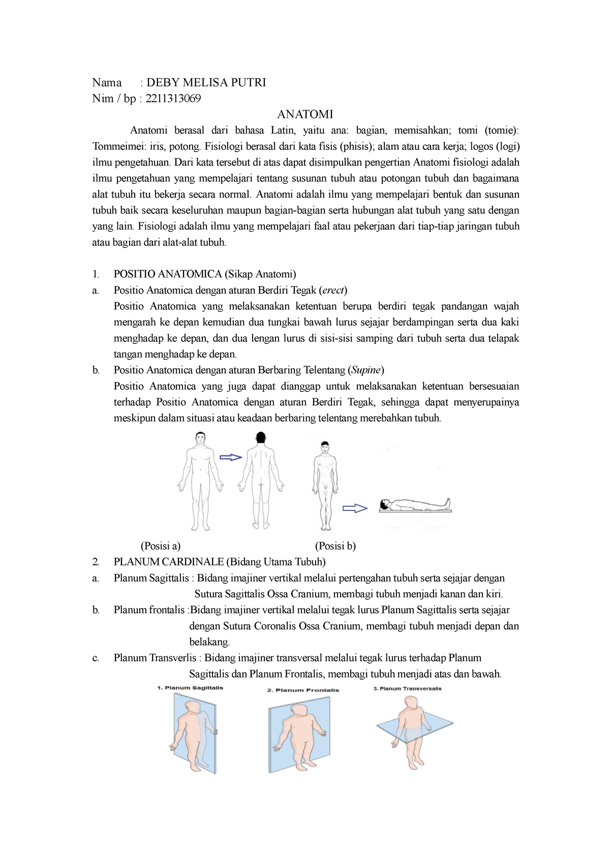 Anatomi 2 - Digestive Anatomy - Nama : DEBY MELISA PUTRI Nim / Bp ...