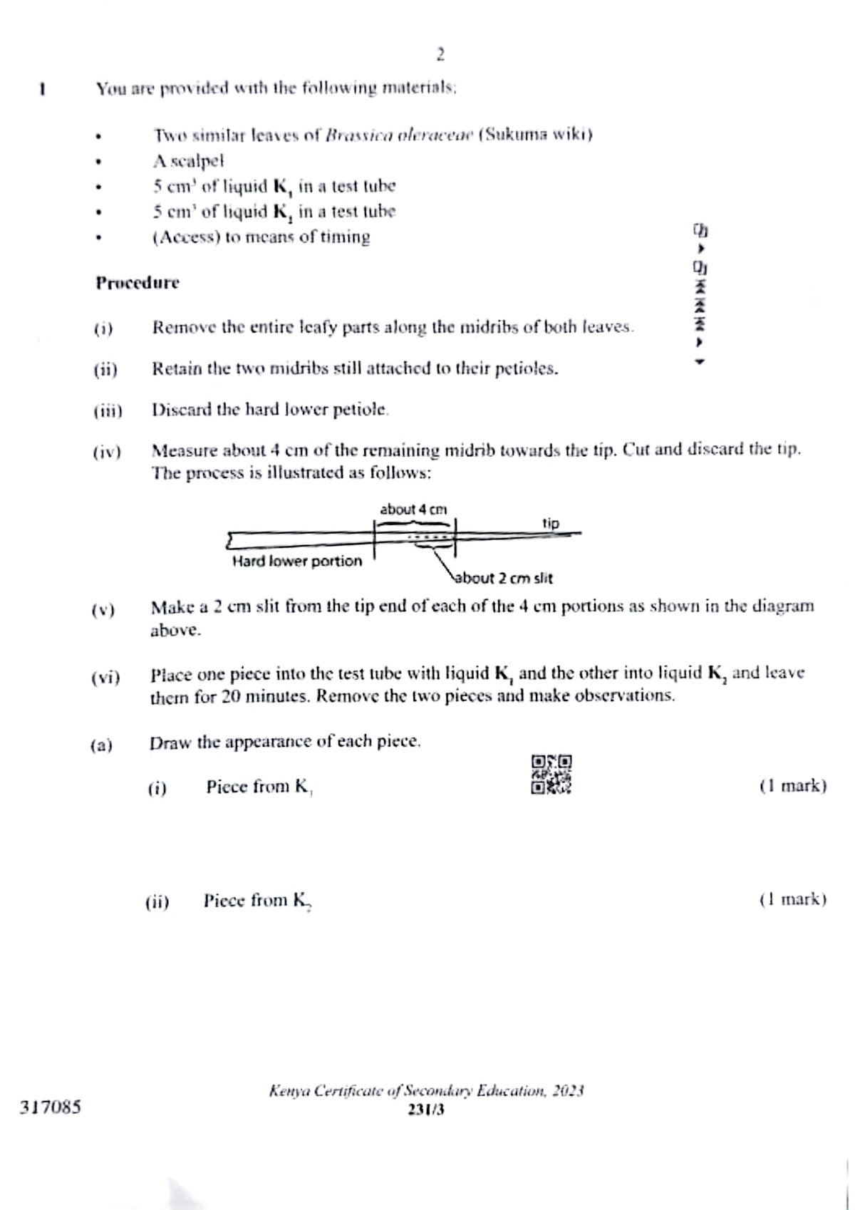 BIO PP3 - Biology 2024 KCSE Examinations - B.ENG Civil Engineering ...