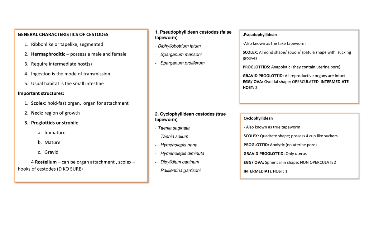 Cestodes- Chart - Summary notes - 1. Pseudophyllidean cestodes (false ...