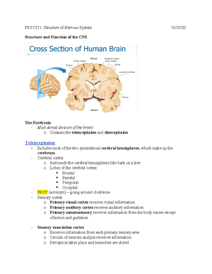 Behavioral Neuroscience Midterm 2 Notes - Behavioral Neuroscience ...