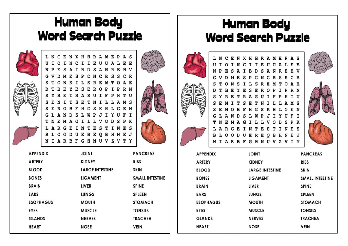 Science 7 human body puzzle - Secondary Education - Studocu