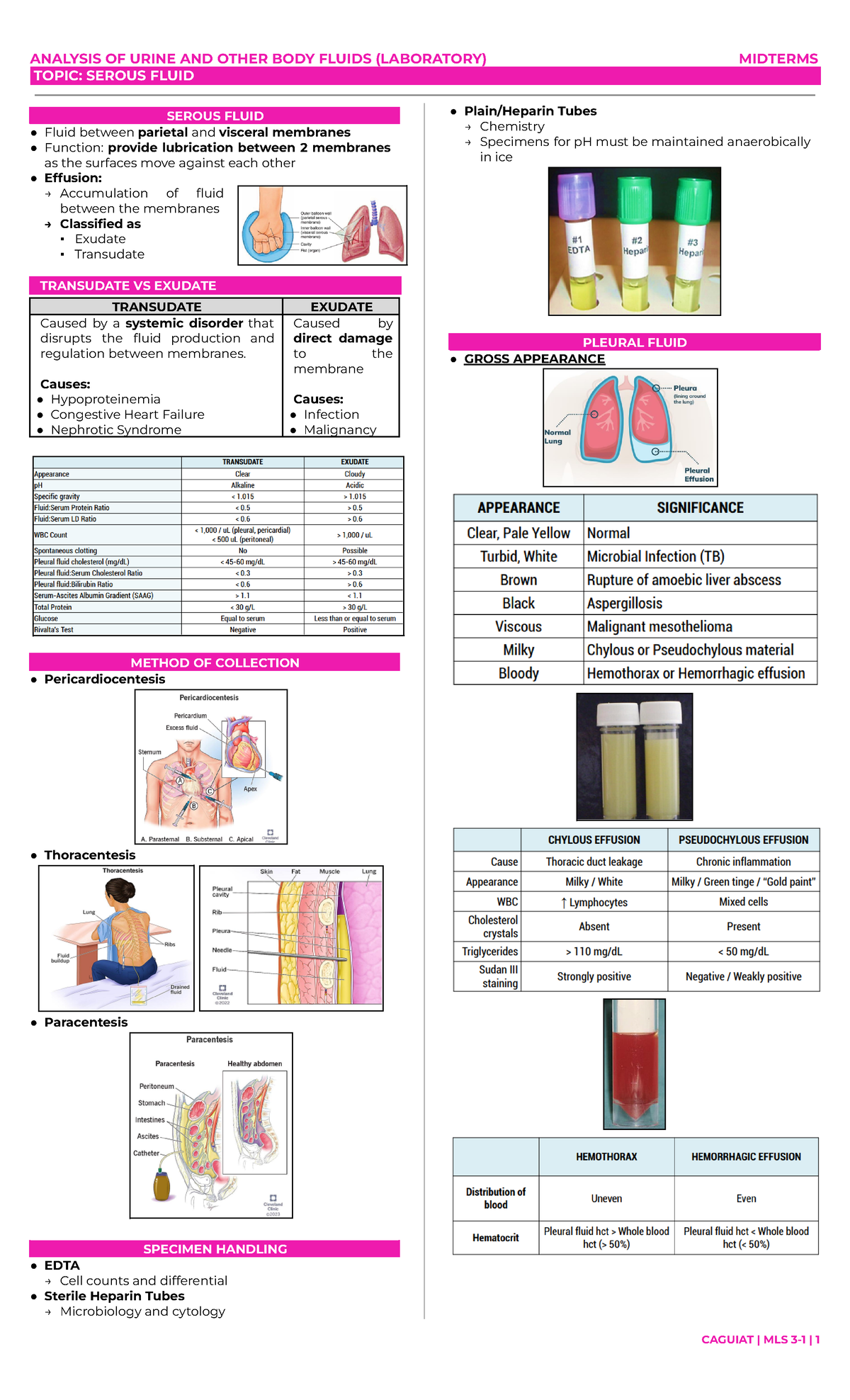 Serous Fluid - ANALYSIS OF URINE AND OTHER BODY FLUIDS (LABORATORY ...