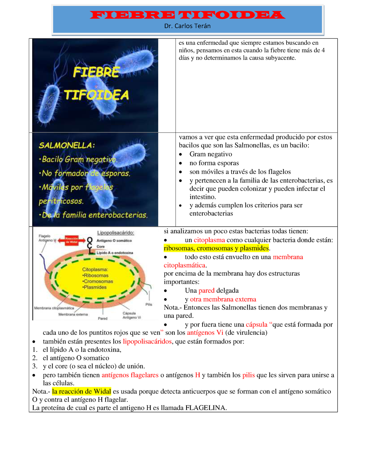 2. Fiebre Tifoidea - FIEBRE TIFOIDEA Dr. Carlos Terán Es Una Enfermedad ...