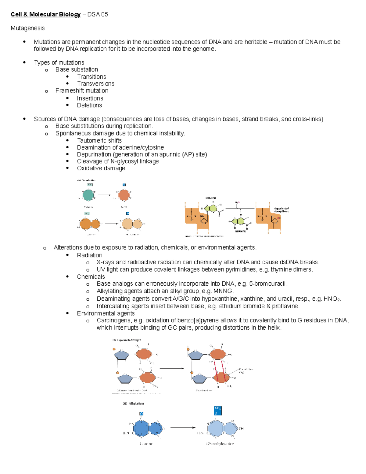 CMB - DSA 05 - Lecture notes 5 - Cell & Molecular Biology – DSA 05 ...