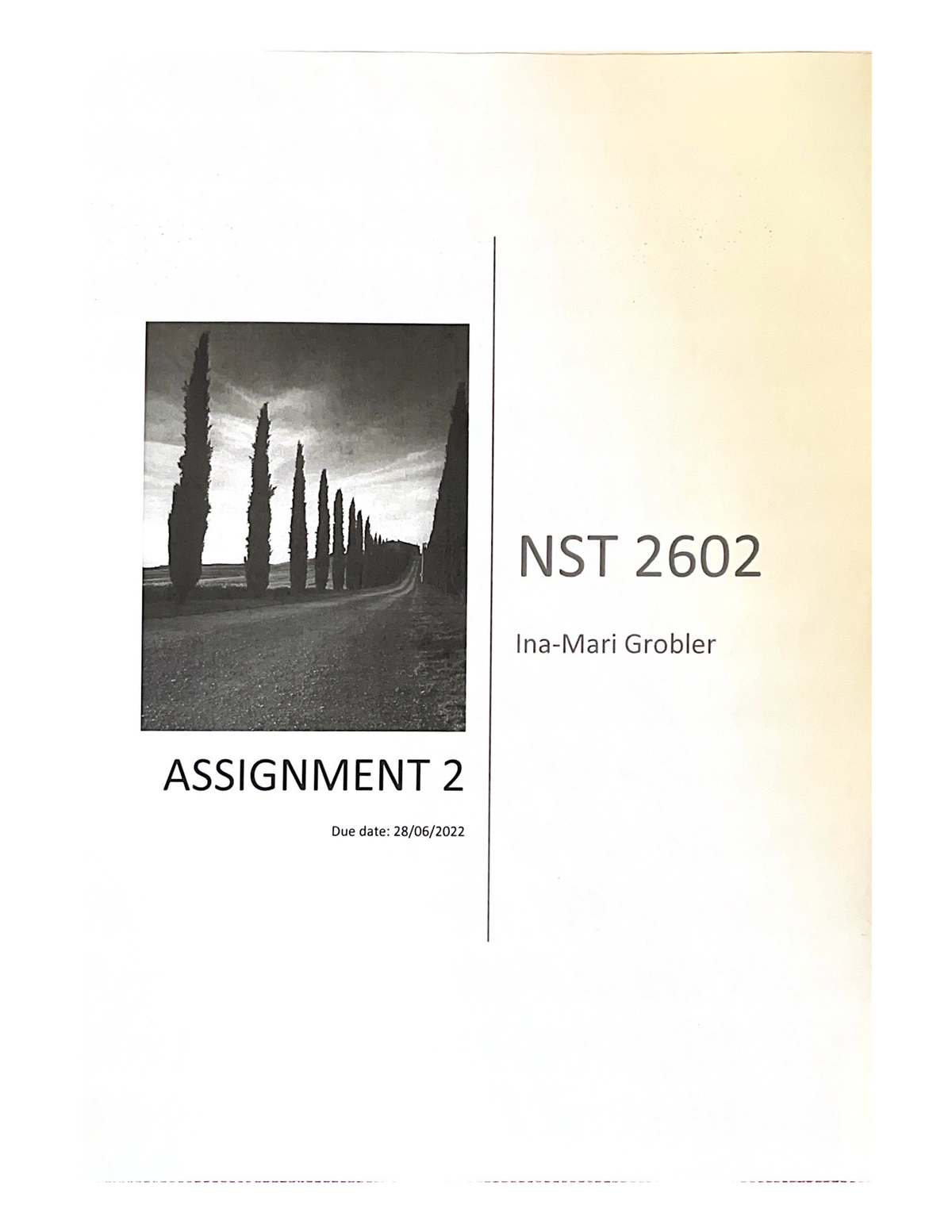 nst2602 assignment 4 answers