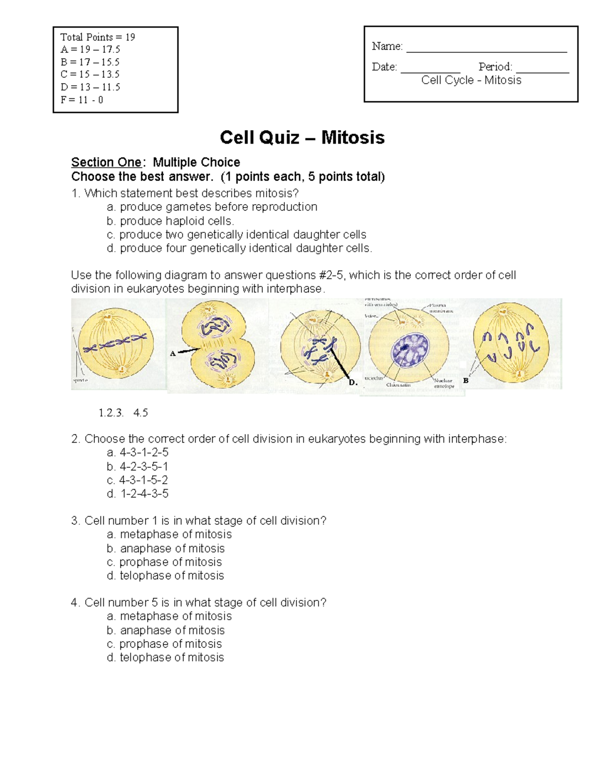 Bio 2 7 Cell Cycle Mitosis - Quiz Ms V - 1.2. 4. Cell Quiz – Mitosis ...