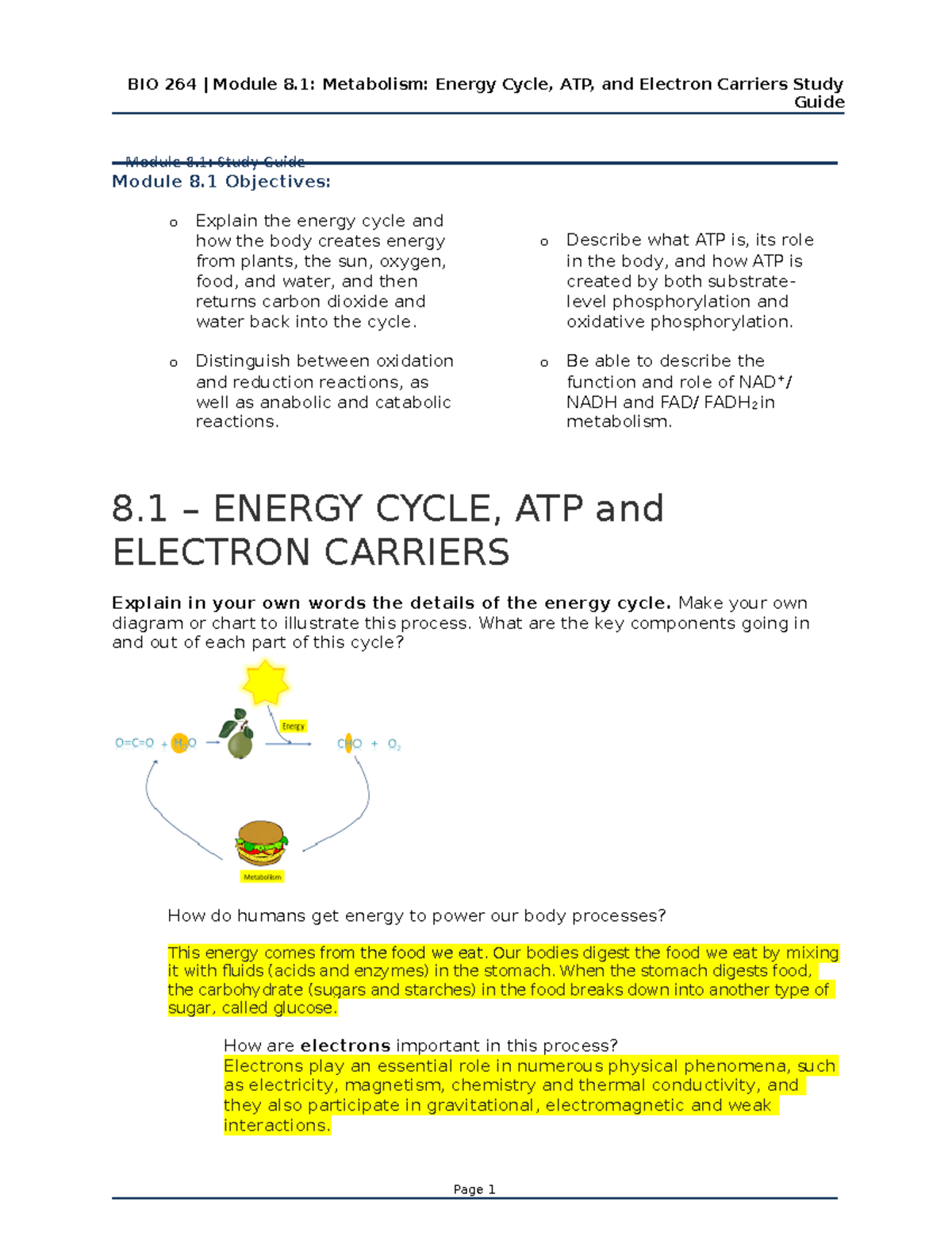 Chapter 8.1 Study Guide - Guide Module 8 Objectives: O Explain The ...