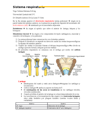 Ultrasound in Obstet Gyne - 2018 - Lostchuck - Population%E2%80%90based ...
