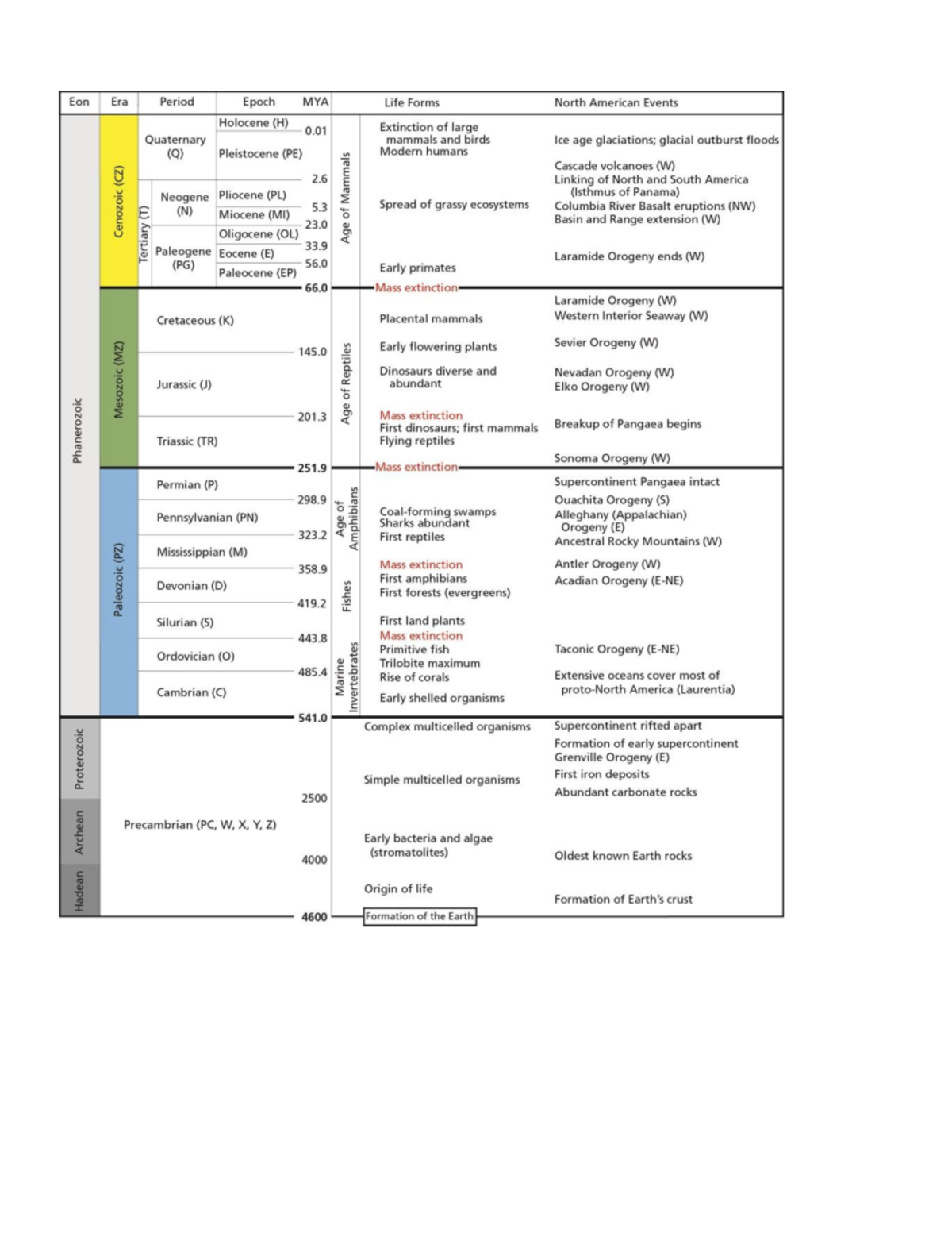 Geologic Time Scales Master - Studocu