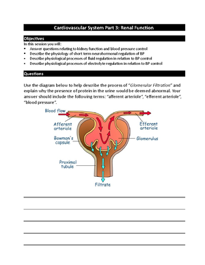 Myotomes Dermatomes Reflexes Tables - Sclerotome A Sclerotome is the ...
