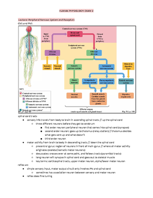 Physio Ex Exercise 9 Activity 4 - Pearsoncmg/bc/bc_0media_ap/physioex ...