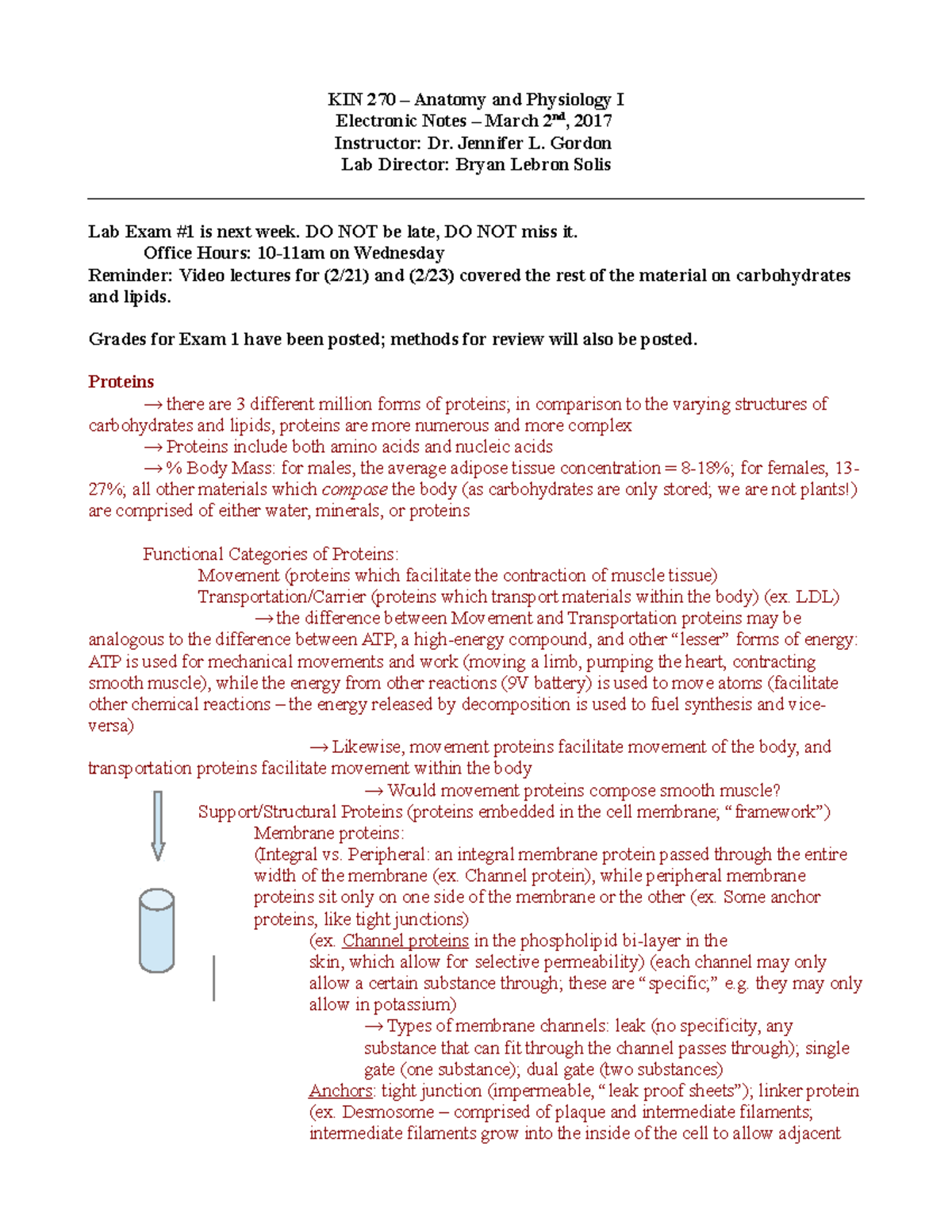 Lec Notes KIN270 03022017 - KIN 270 – Anatomy and Physiology I ...