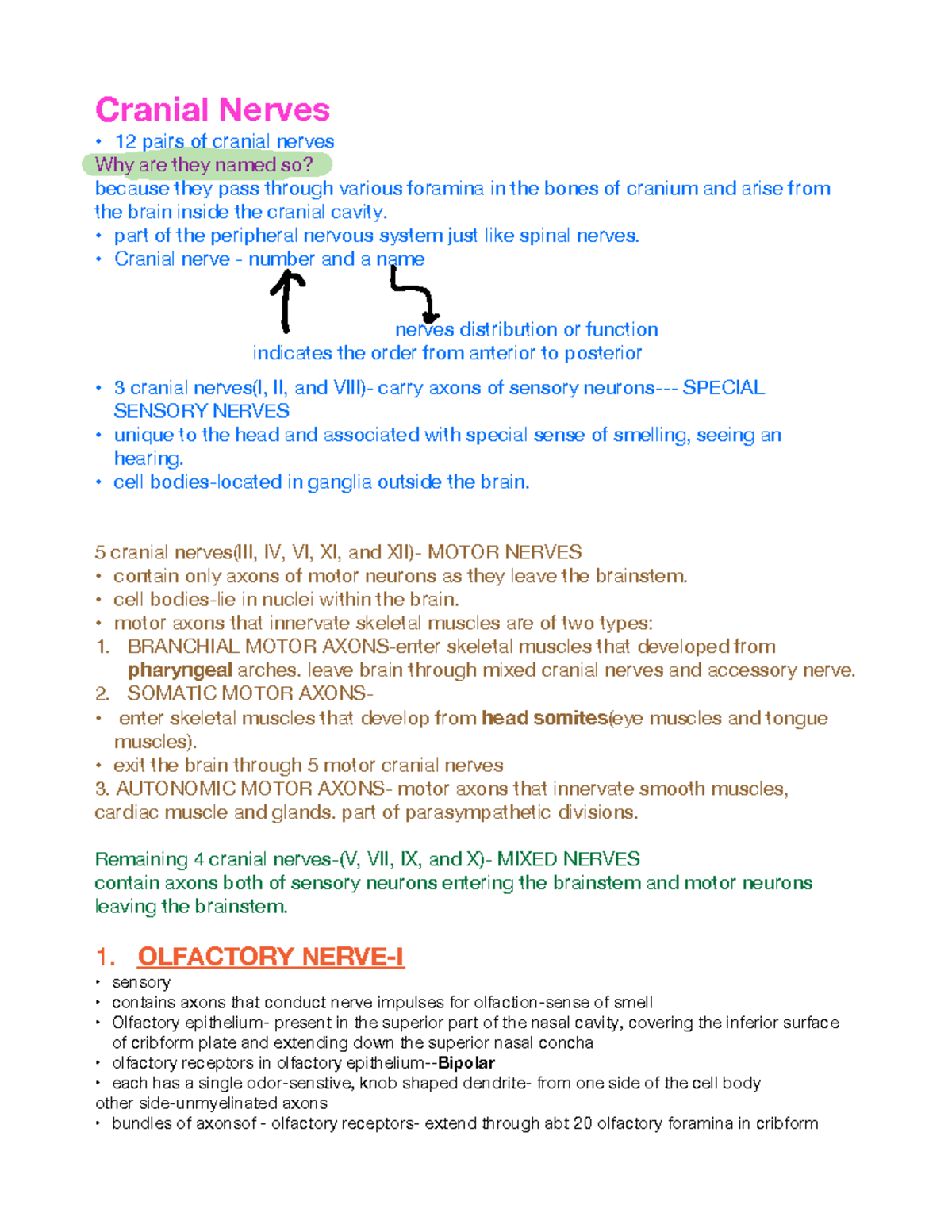 Cranial Nerves Notes - Cranial Nerves 12 pairs of cranial nerves " Why ...